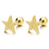 2pcs Gold Color Stainless Steel Star Stud Earrings for Men Women, Screw Back, Satin Finished - COOLSTEELANDBEYOND Jewelry