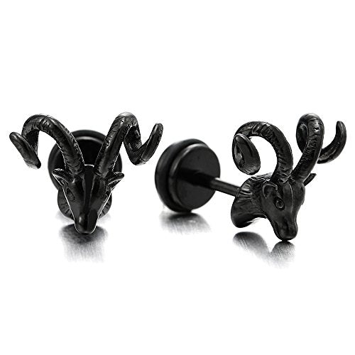 thumbnail image 2 of 12 Pairs Tiny Stud Earrings Set,20G Stainless Steel Screw Back Stud Cartilage Helix Earrings For Women 2 of 12