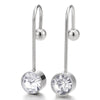 Steel Hook Stud Earrings with Faceted Cubic Zirconia for and Women, Screw Back, 2 pcs - COOLSTEELANDBEYOND Jewelry